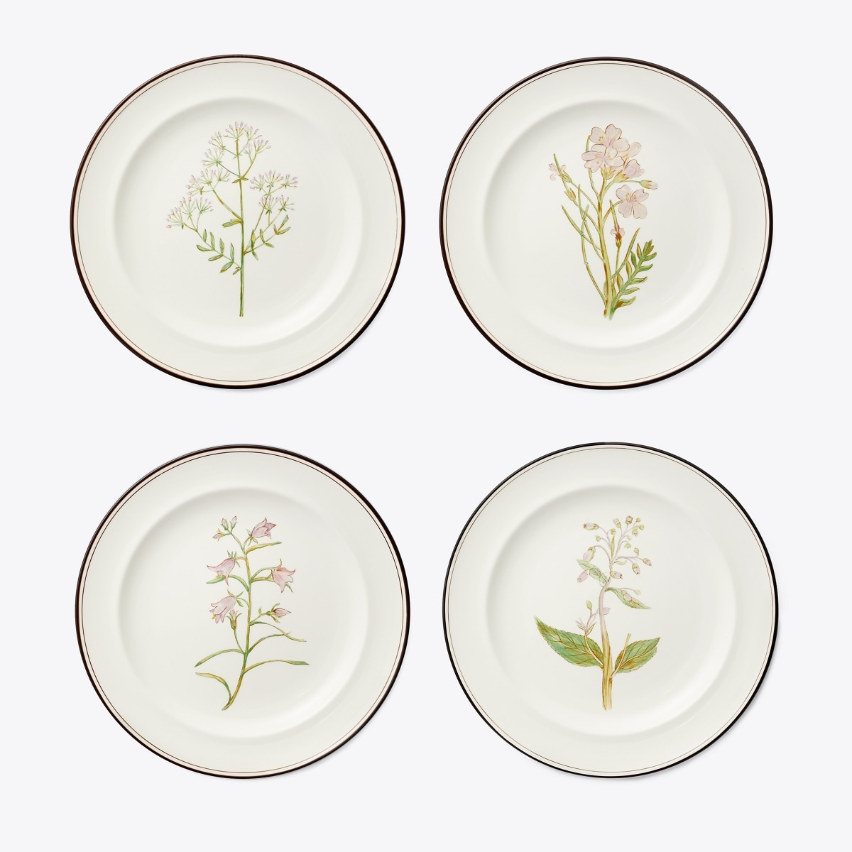 lilac-flower-salad-plates-set-of-4-front.TB_75305_100_SLFRO.pdp-1200x1200-1